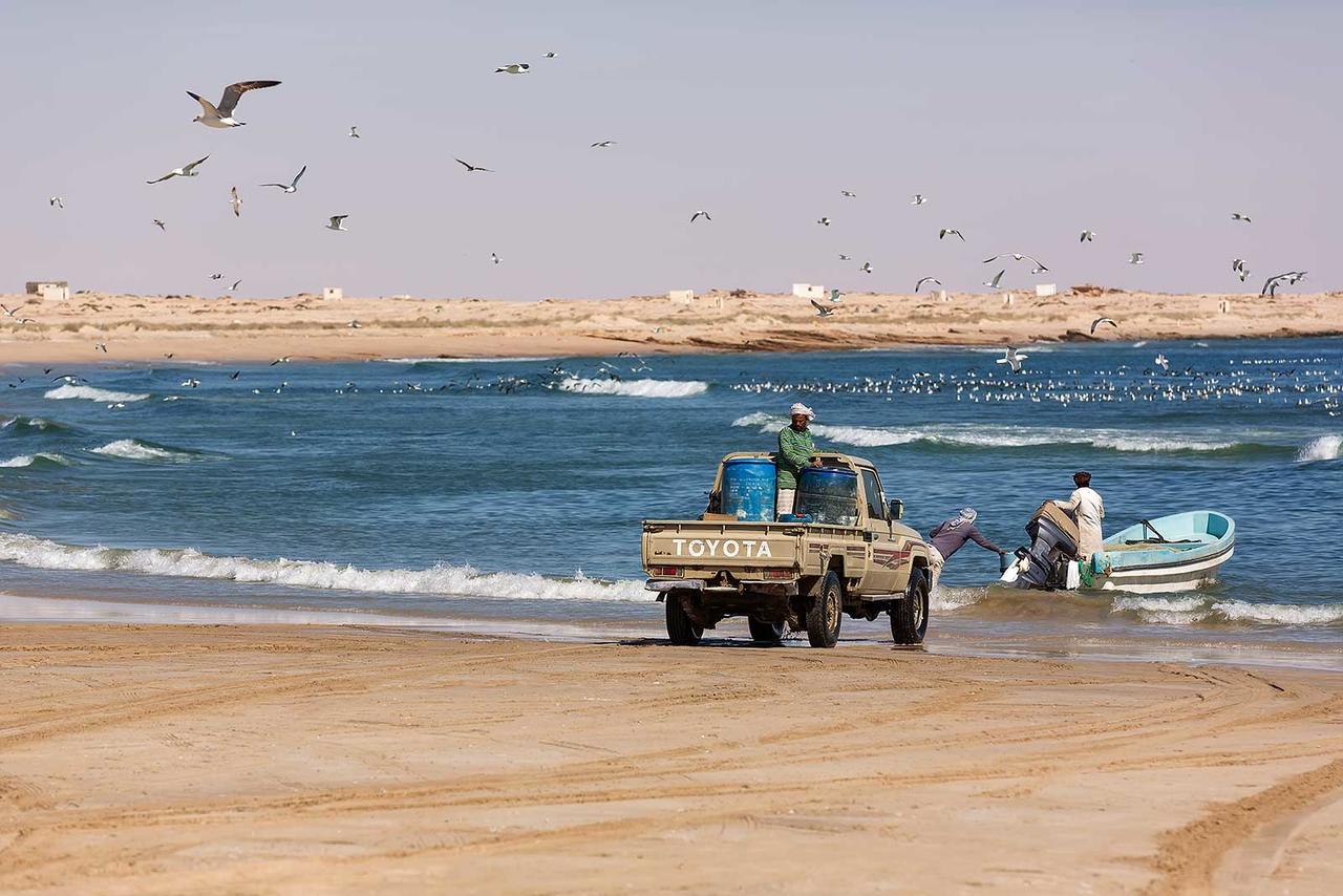 Al Reem Chalet الشرقية المظهر الخارجي الصورة